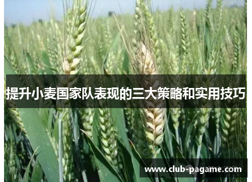提升小麦国家队表现的三大策略和实用技巧 提升小麦国家队表现的三大策略和实用技巧