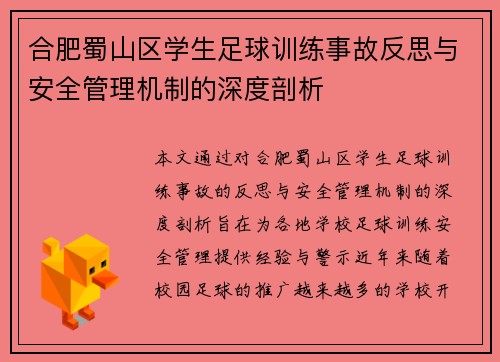 合肥蜀山区学生足球训练事故反思与安全管理机制的深度剖析 合肥蜀山区学生足球训练事故反思与安全管理机制的深度剖析