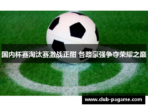 国内杯赛淘汰赛激战正酣 各路豪强争夺荣耀之巅 国内杯赛淘汰赛激战正酣 各路豪强争夺荣耀之巅